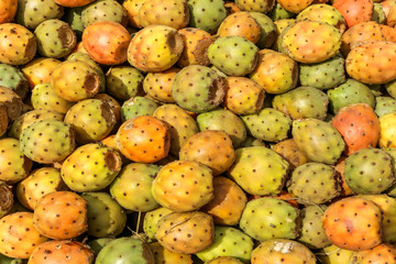Close up of traditional cactus fruit in souk, market in Essaouira, Morocco. Selection of green, yelow and orange dragon fruits.