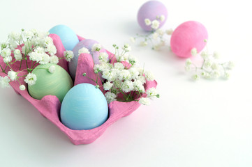 Easter color painted eggs on a white background.