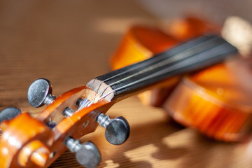 violin on black background