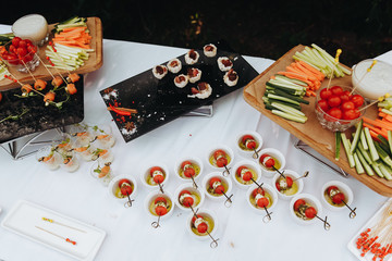 Delicious snacks made of vegetables and cheese lie on the table