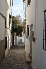 Alhambra from traditonal street of Albaicin in Granada, Spain