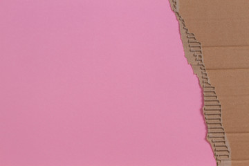 Piece of corrugated cardboard with torn paper edge on pink background