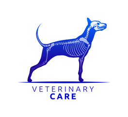 Veterinary Care Emblem Design, Bone Scan Dog Care vector illustration