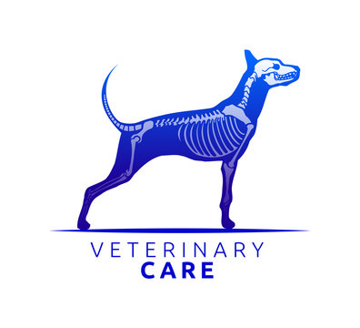 Veterinary Care Emblem Design, Bone Scan Dog Care vector illustration