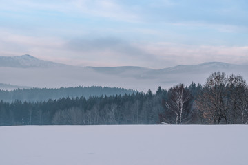 Bayerischer Wald national park in Germany