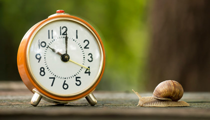 Time management concept - web banner of retro orange alarm clock and a slow snail © Reddogs