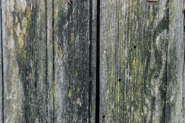 texture of old vintage wooden board table