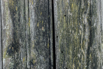 Obraz premium texture of old vintage wooden board table