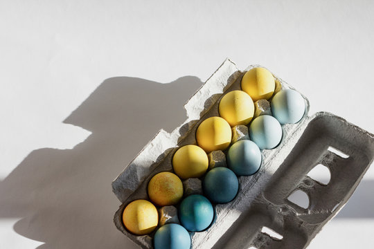 Fresh range eggs assorted colors in carton