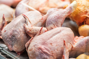 Raw whole chickens in butcher shop grocery store many uncooked skin closeup showing texture detail in Florence Italy