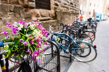 Fototapeta na wymiar Firenze, Italy outside exterior of architecture building in Florence Tuscany with closeup of flowers on bicycle with row of bikes on rack