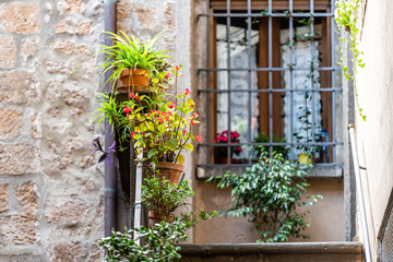 Fototapeta na wymiar Orvieto, Italy alley street in small historic medieval town village in Umbria with nobody green plants colorful flowers and steps up to house with window