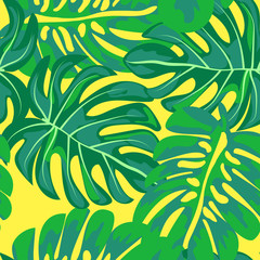 Fototapeta na wymiar Monstera leaves. Tropical seamless pattern with leaves.