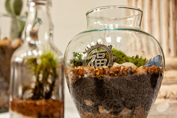 Glass terrarium with chinese anagram