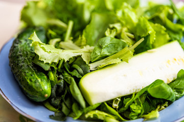 Closeup of fresh green lettuce on blue plate with vibrant color salad, cucumber and zucchini slice with arugula from homegrown garden
