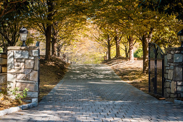 Gated open entrance with road during golden autumn in rural countryside in Virginia estate with...