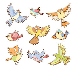 Collection of different birds in flying pose. Colorful birds isolated on white background. Cartoon style. Hand drawn vector illustration.