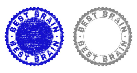 Grunge BEST BRAIN stamp seals isolated on a white background. Rosette seals with grunge texture in blue and grey colors. Vector rubber overlay of BEST BRAIN tag inside round rosette.