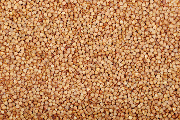 Texture of brown buckwheat grains.