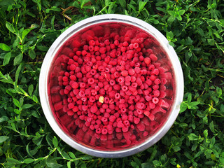 raspberry berries in a bowl