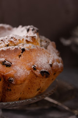fresh tasty delicious cupcake with raisins