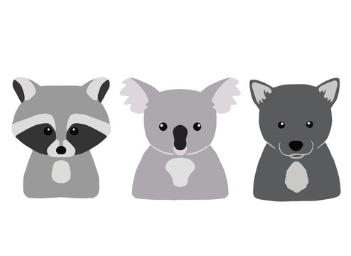 Colorful animals on white background. Set of little raccoon, koala and wolf.