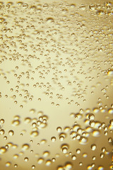 Air bubbles of champagne