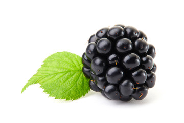 Blackberry close up marco with green leaf. Clipping Path