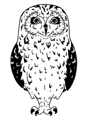 Black and white owl on white background. Line art bird drawn in simple style.