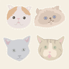 Cartoon cat heads on beige background. Different portraits of kitties muzzles.