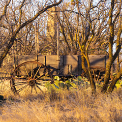abandoned wagon in the woods near abilene texas