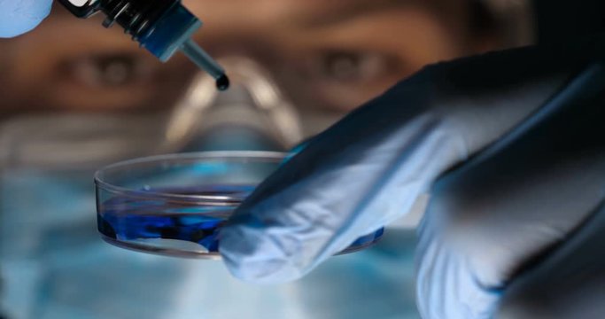 Laboratory worker scientist laboratory assistant tests chemicals for reactions in test tubes, interfering with different substances and obtaining a visual reaction. Concept of: Science, Chemistry.