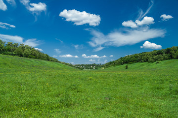 Green meadow under blue sky with clouds, nature background
