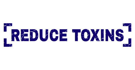 REDUCE TOXINS caption seal imprint with distress texture. Text caption is placed between corners. Blue vector rubber print of REDUCE TOXINS with unclean texture.
