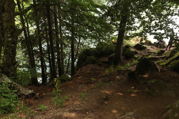 Lac Pavin - Besse-et-Saint-Anastaise - Monts Dore