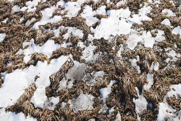 Plowed spring field. The beginning of the season of field work. Agro-industrial farm business. Snow...