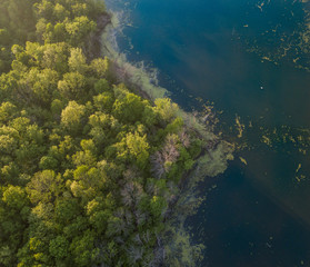 Celery Bog Nature Area. Drone shot of the lake. West Lafayette IN