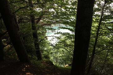 Obraz premium Lac Pavin - Besse-et-Saint-Anastaise - Dans les Monts Dore