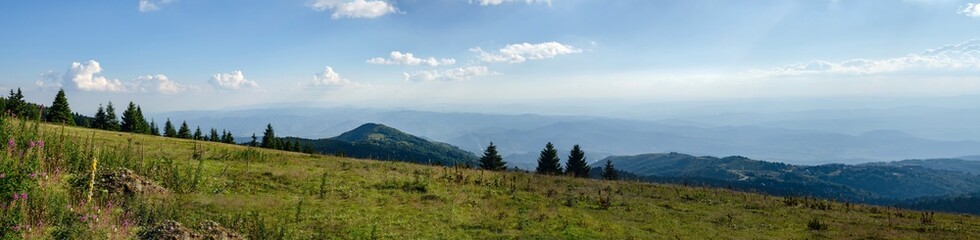 Fototapeta na wymiar Panoramic view of a mountain range in summer - Kopaonik, Serbia