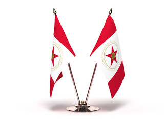 Alabama Birmingham Flag