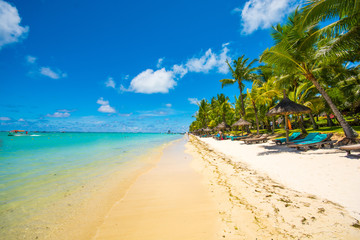 Trou aux biches, Mauritius. Tropical exotic beach with palms trees and clear blue water.