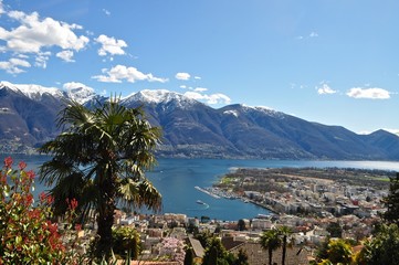 Fototapeta na wymiar Tessin - Aussicht auf die Stadt Locarno und Ascona am See Lago Maggiore