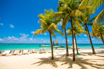 Fototapeta na wymiar Trou aux biches, Mauritius. Tropical exotic beach with palms trees and clear blue water.