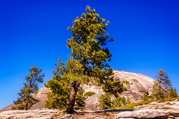 Sentinel Dome, Yosemite National Park
