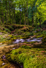 Obraz premium Arzino river