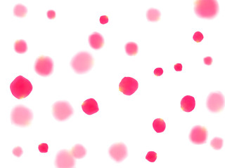 Pink rose petals falling vector valentine background.