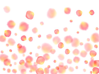 Rose gold petals flying cosmetics vector background.