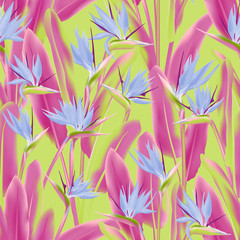 Strelitzia reginae tropical flower vector seamless pattern. Jungle exotic tropical plant fabric design. South African plant tropical blossom of crane flower, strelitzia. Floral wallpaper.