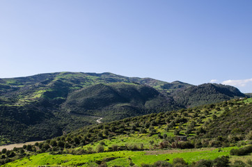 Africa, Morocco, the mountains of El Reef, the road to Chefchaouen