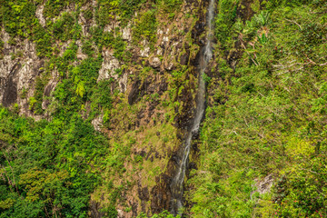 Black river Gorges Viewpoint, Mauritius.